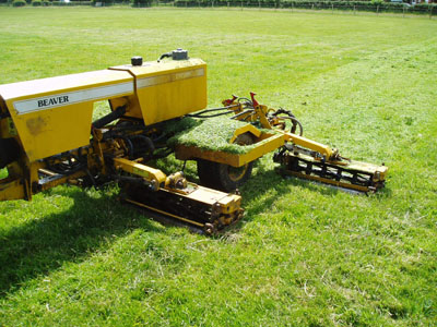 /stock-photos/Beaver gang mowers 2.jpg